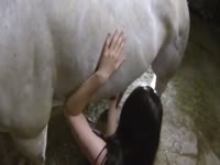 Horse Animal XXX